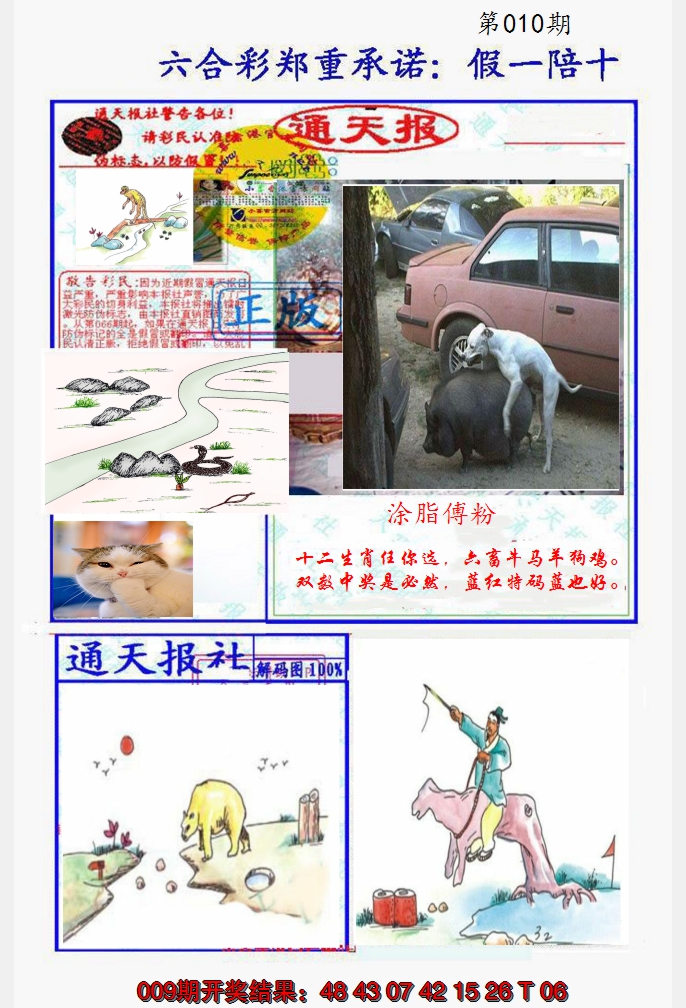 2025010期假一陪十通天报