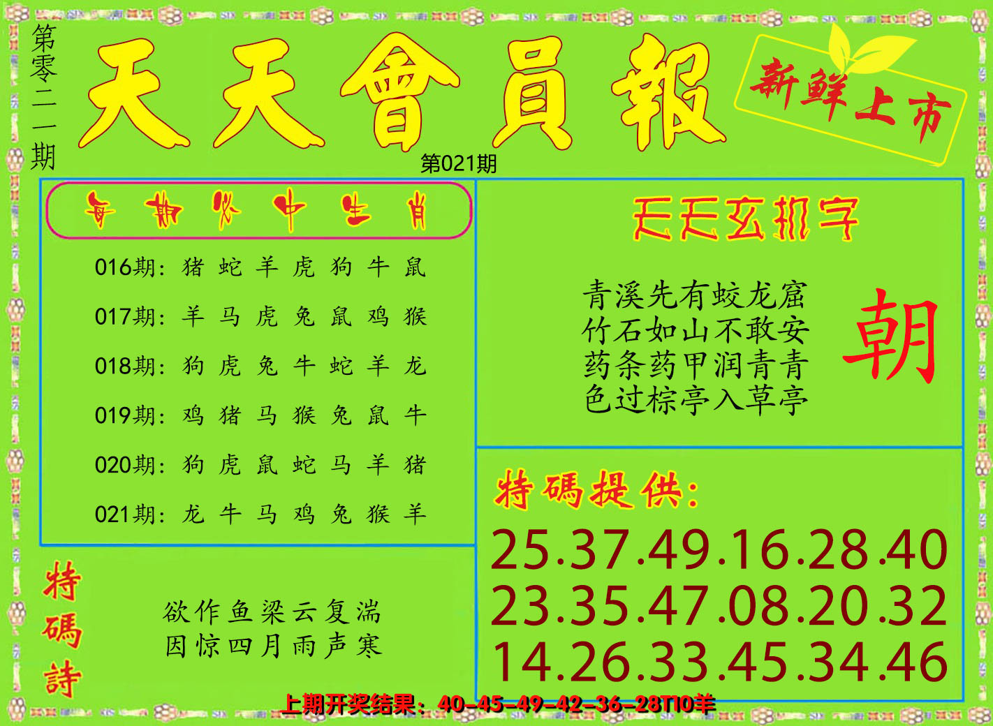2025021期天天会员报