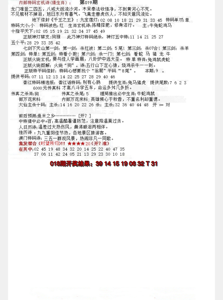 2025019期五星报B