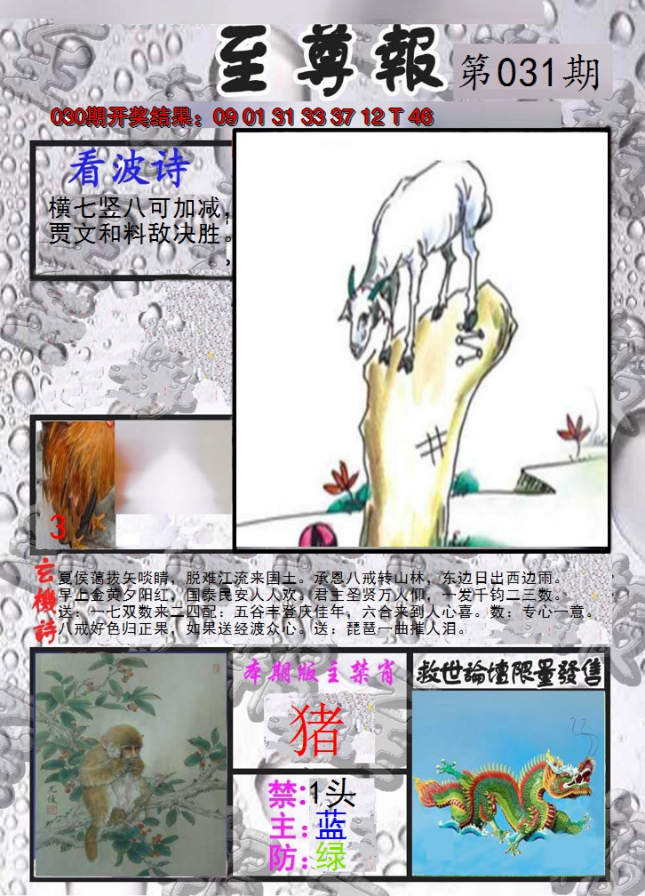 2025031期至尊报