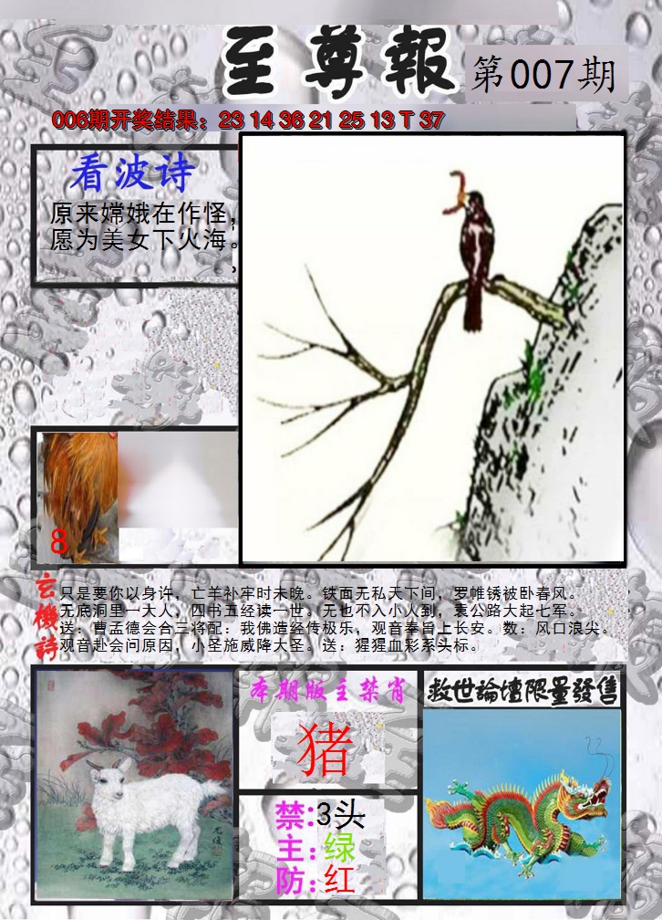 2025007期至尊报