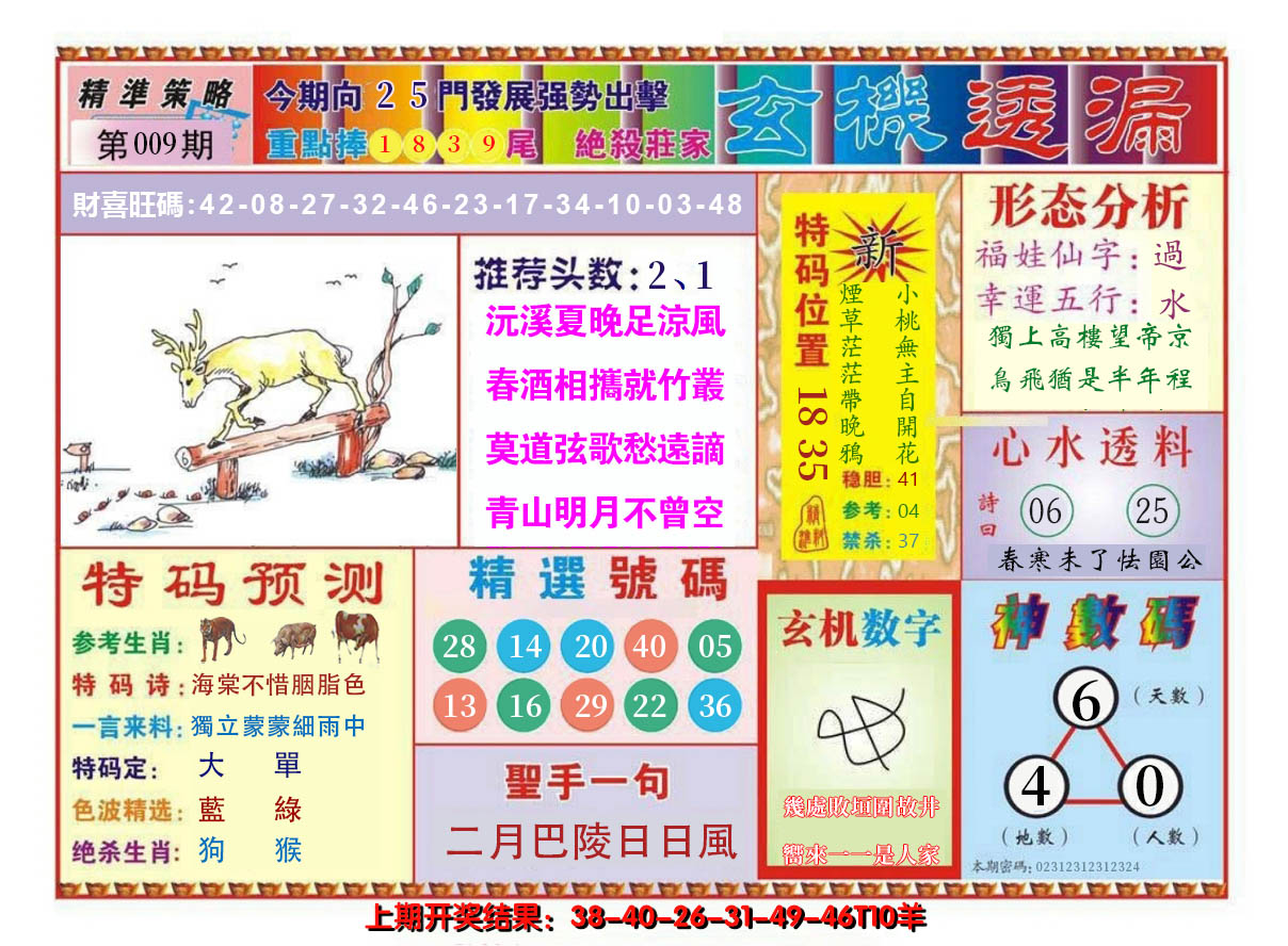 2025009期玄机透漏
