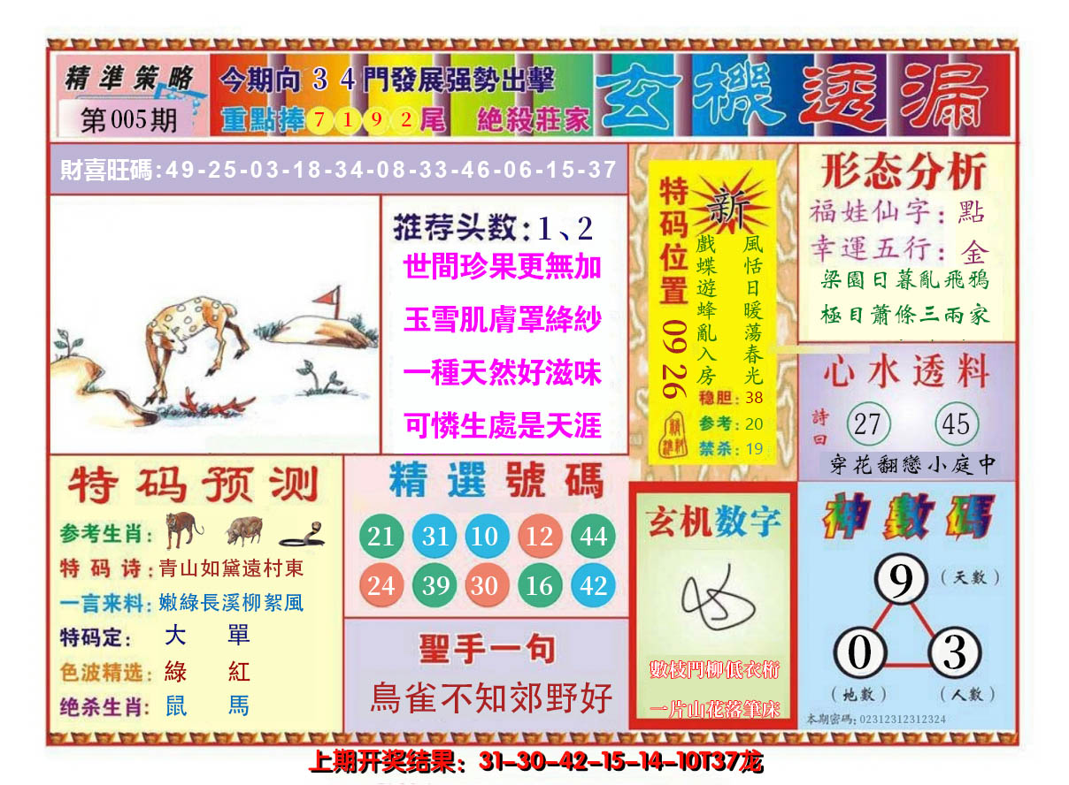 2025005期玄机透漏