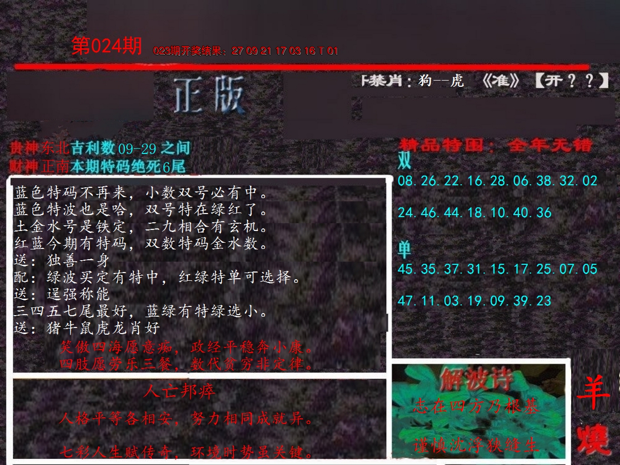 2025024期新港内幕