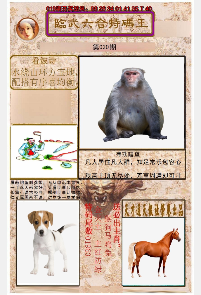 2025020期临武六合特码王