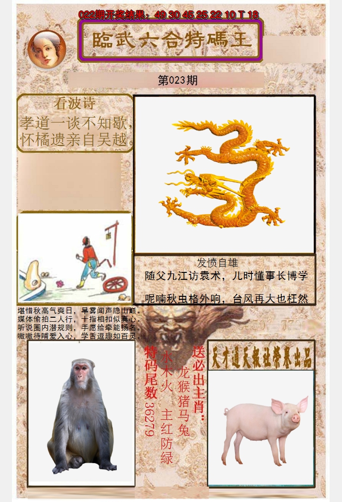 2025023期临武六合特码王