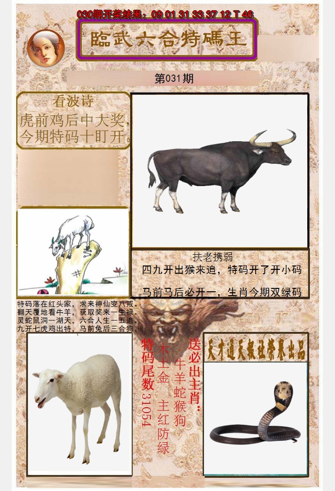 2025031期临武六合特码王