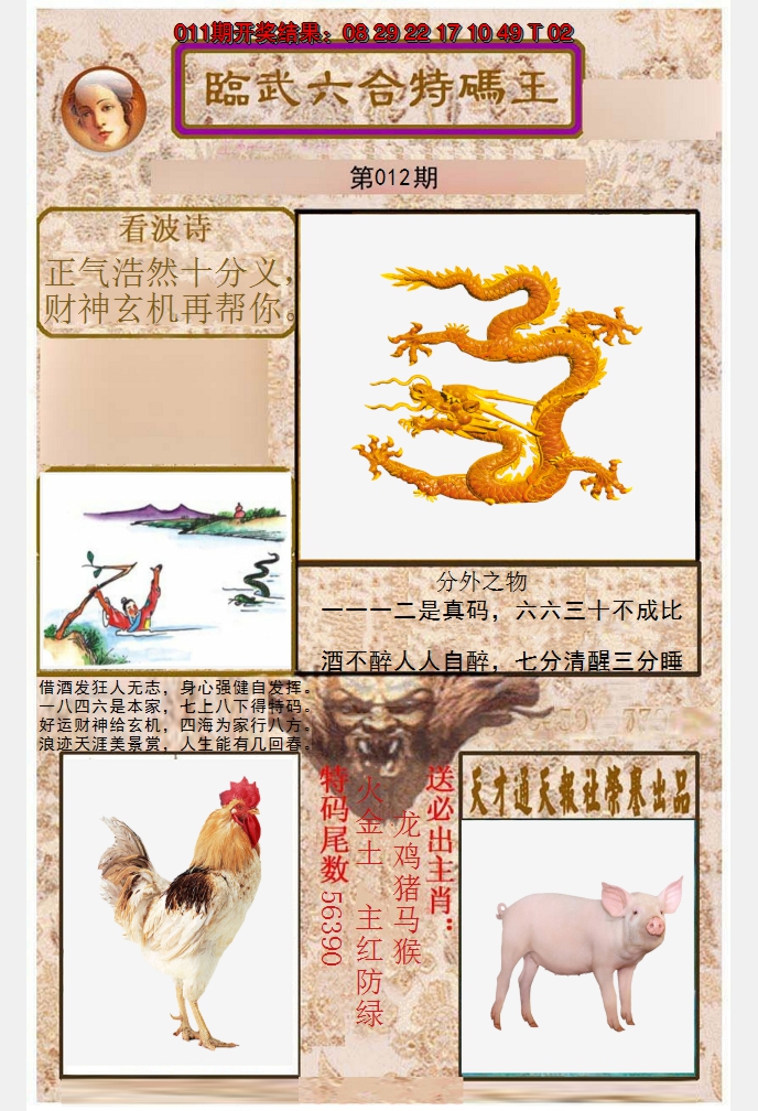 2025012期临武六合特码王