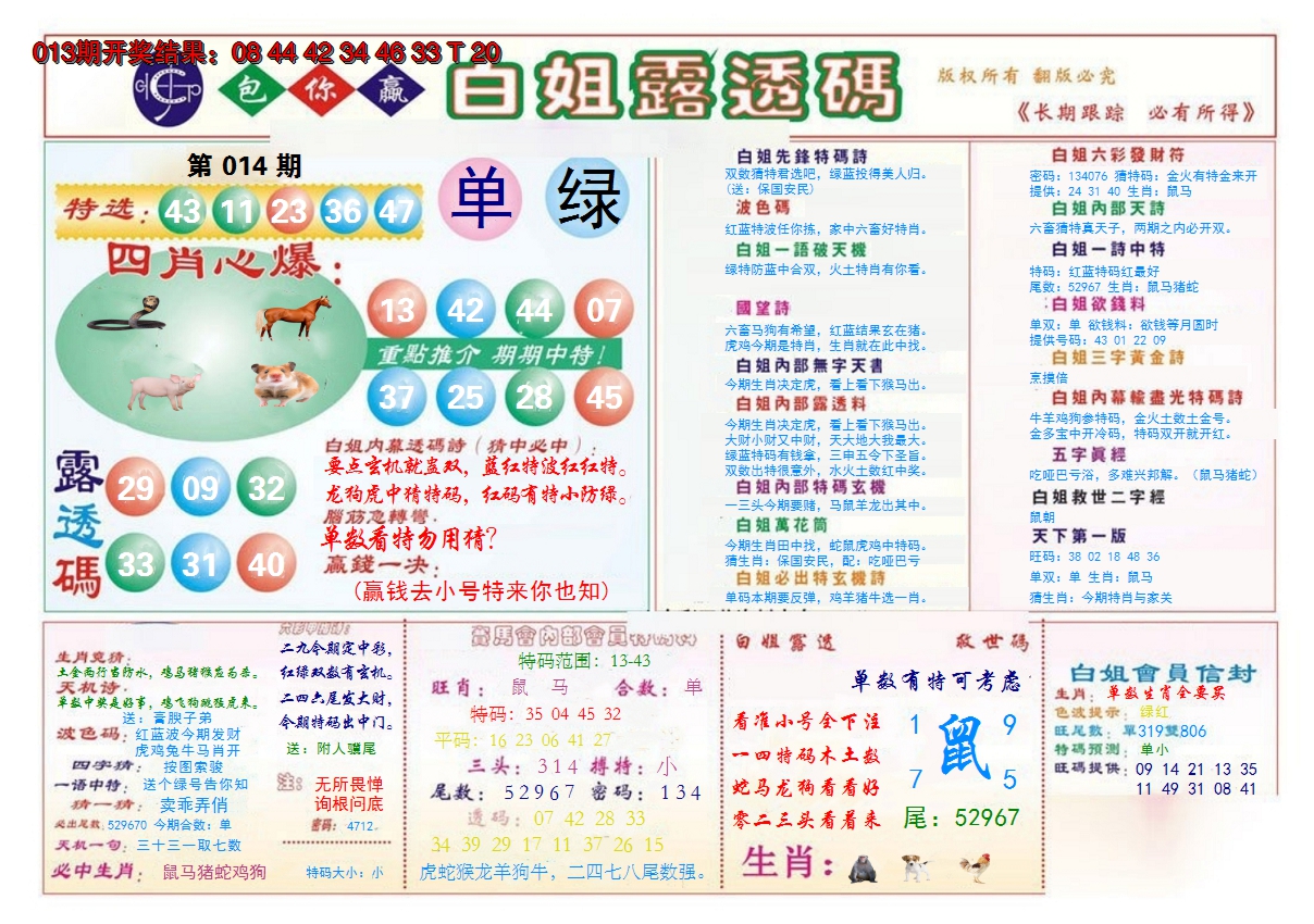 2025014期马会专刊B