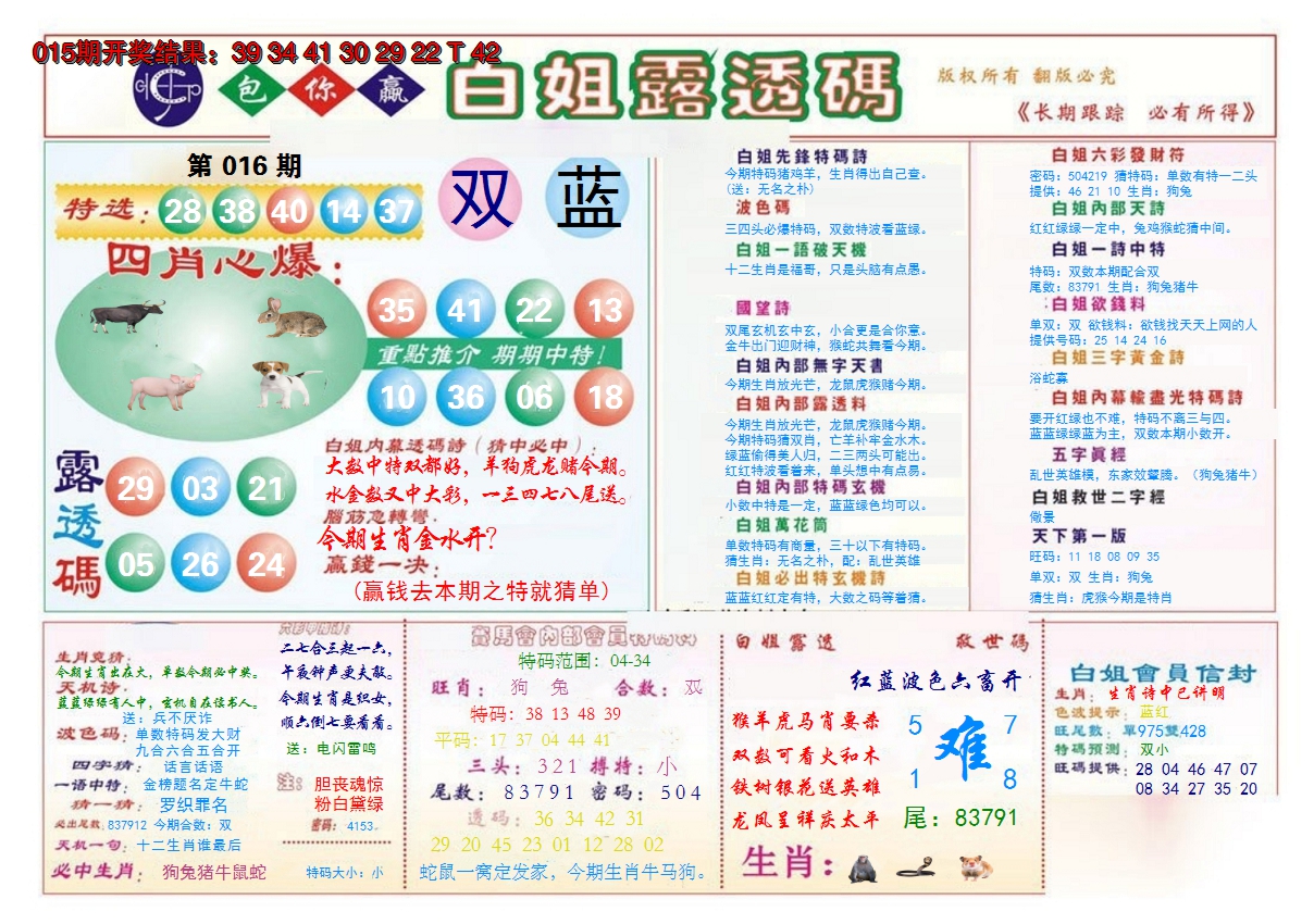 2025016期马会专刊B