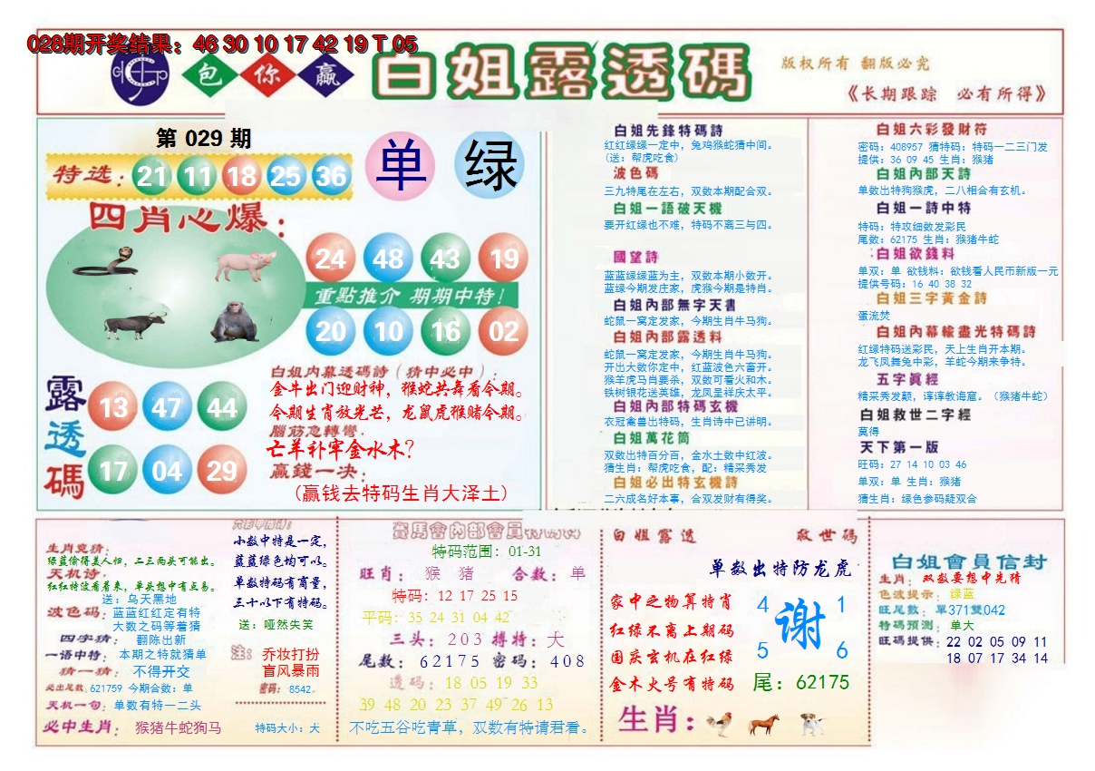 2025029期马会专刊B