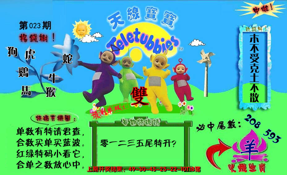 2025023期宝宝特码图