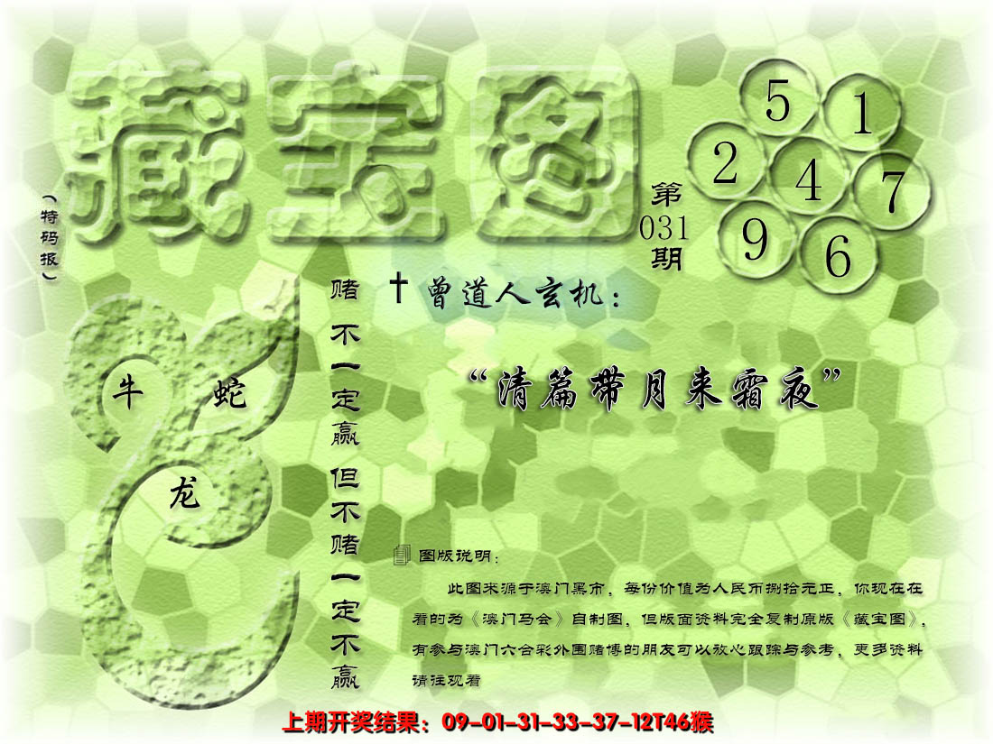 2025031期假新藏宝图