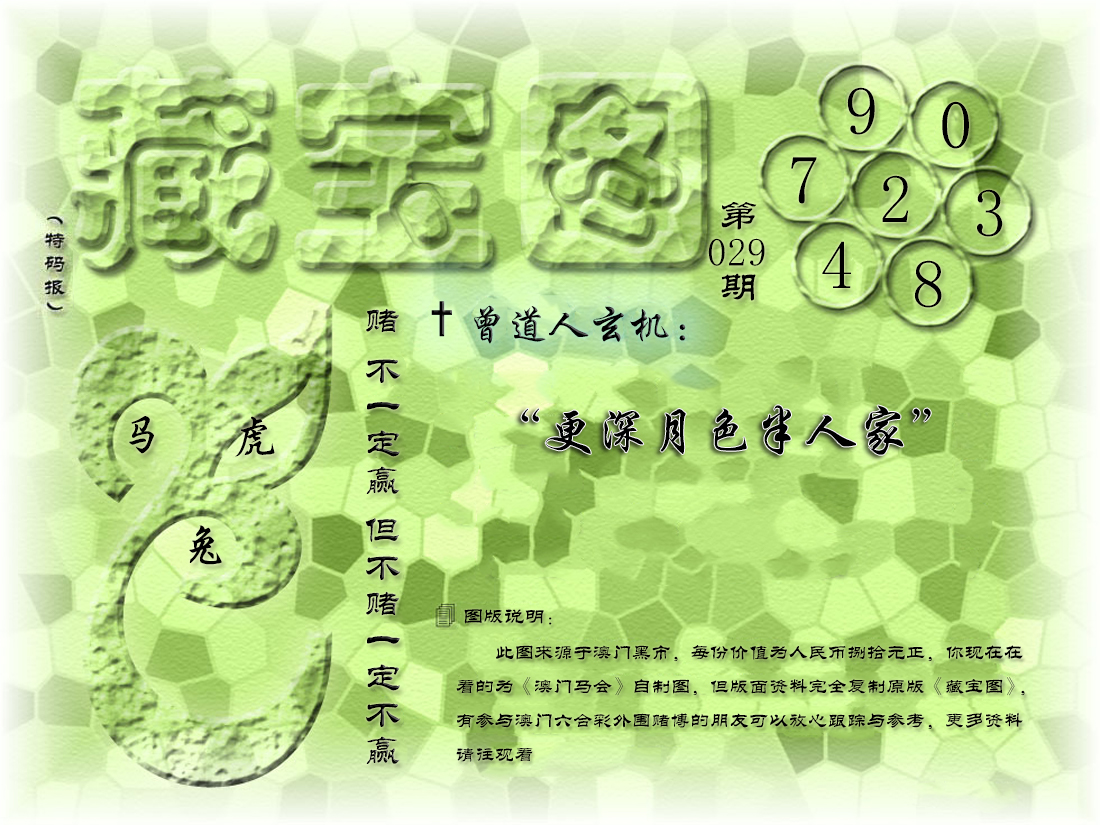 2025029期假新藏宝图