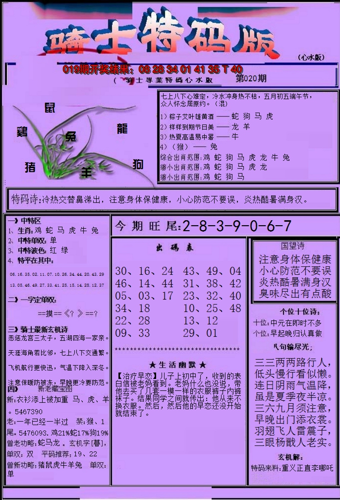 2025020期骑士特码版