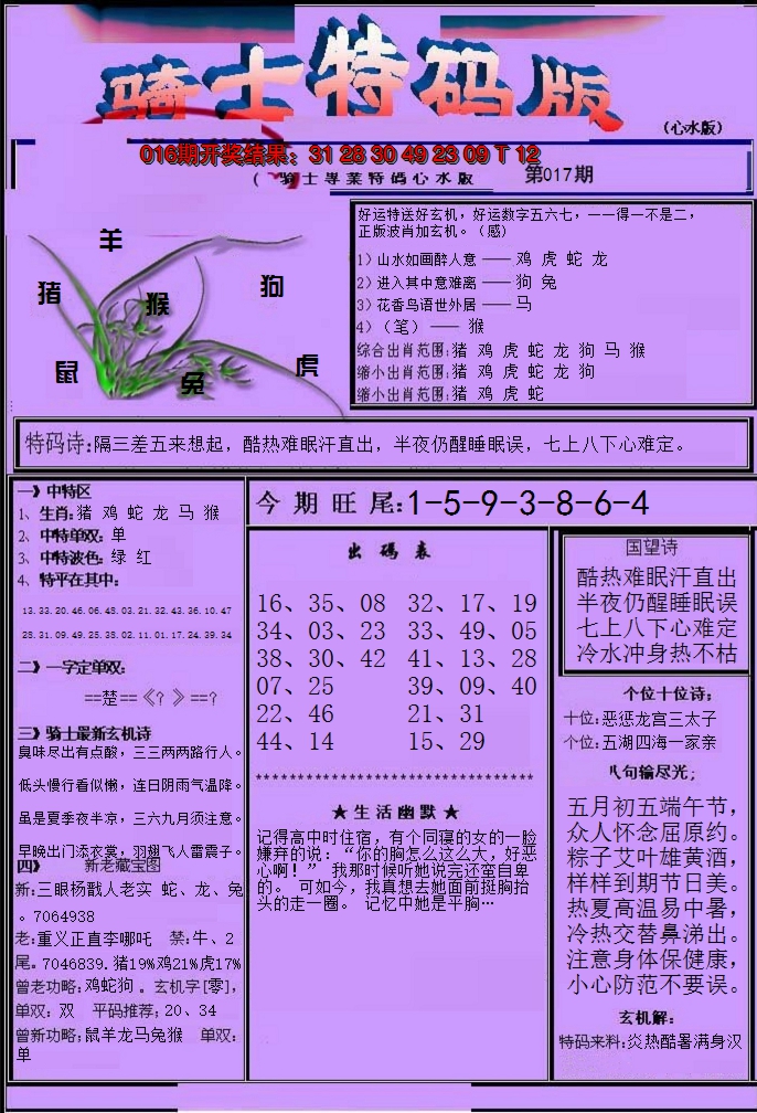 2025017期骑士特码版