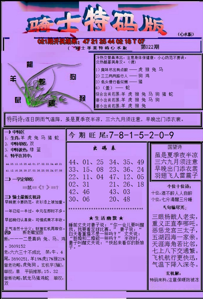 2025022期骑士特码版