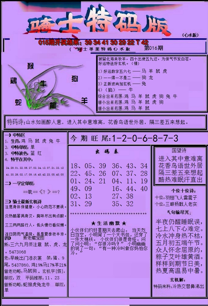2025016期骑士特码版