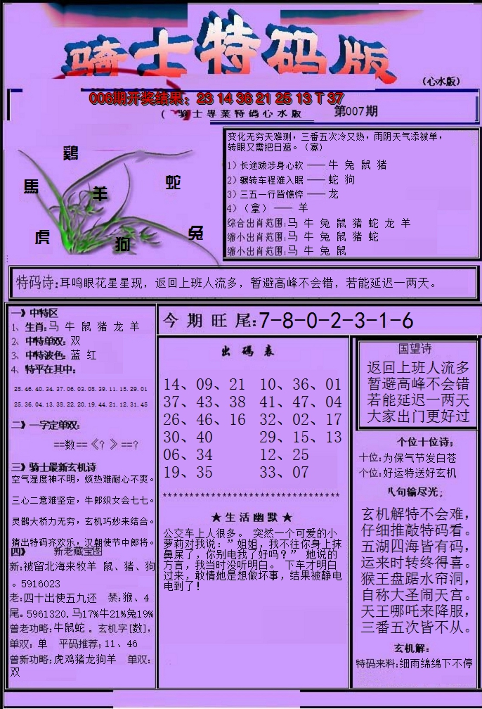 2025007期骑士特码版