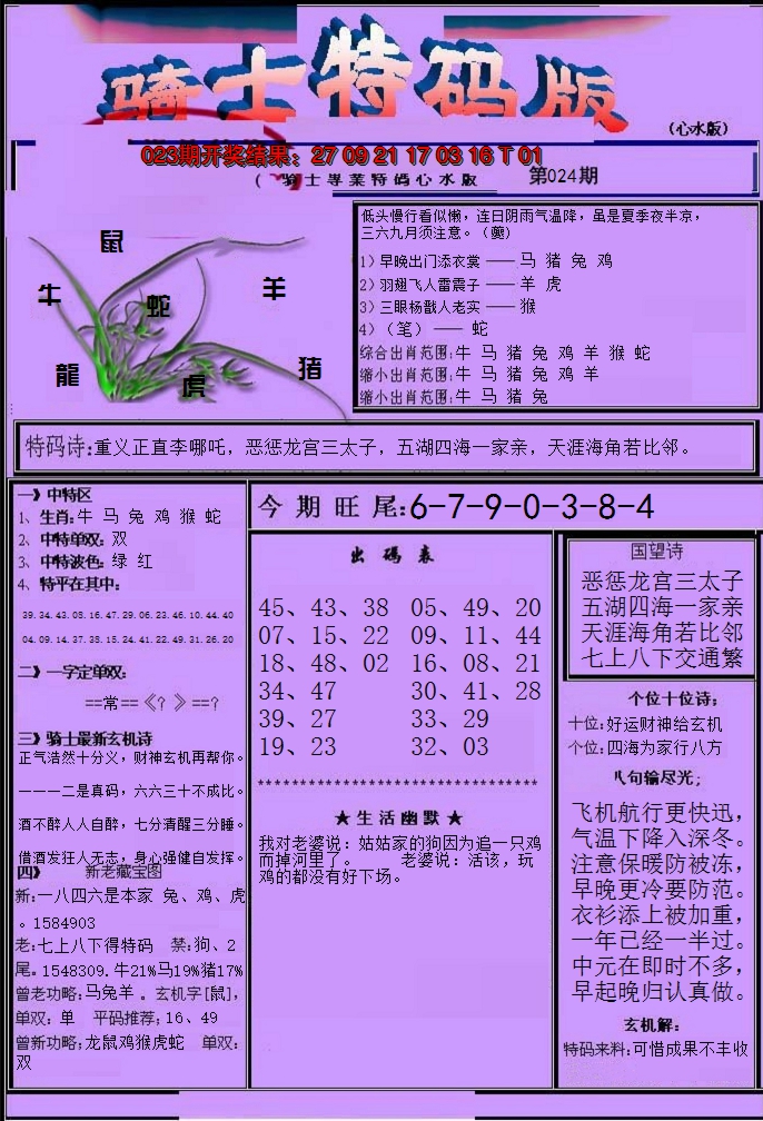 2025024期骑士特码版