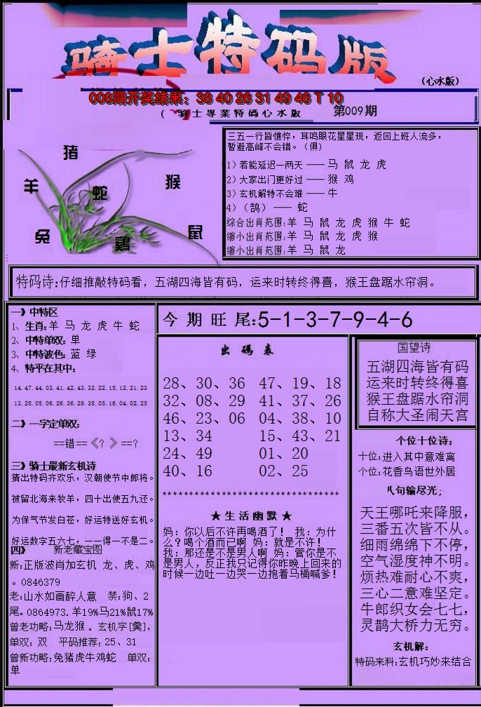 2025009期骑士特码版