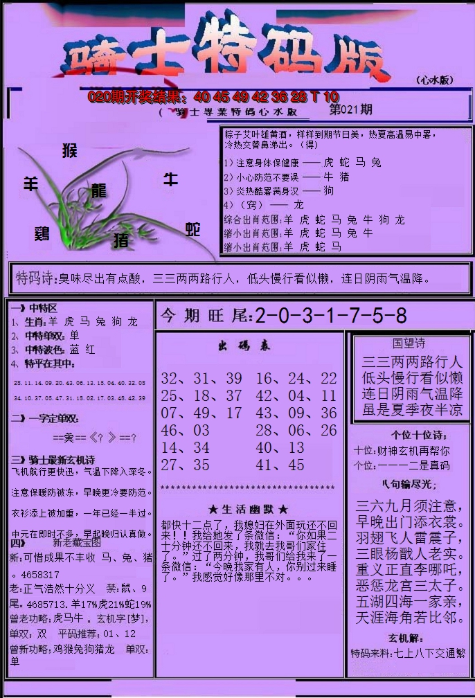 2025021期骑士特码版