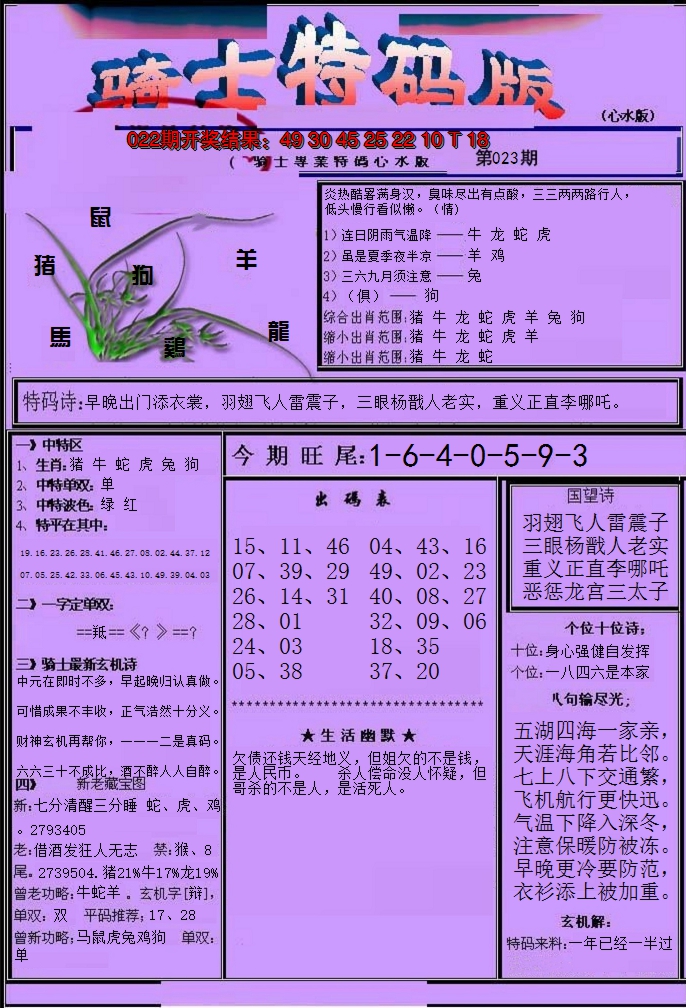 2025023期骑士特码版