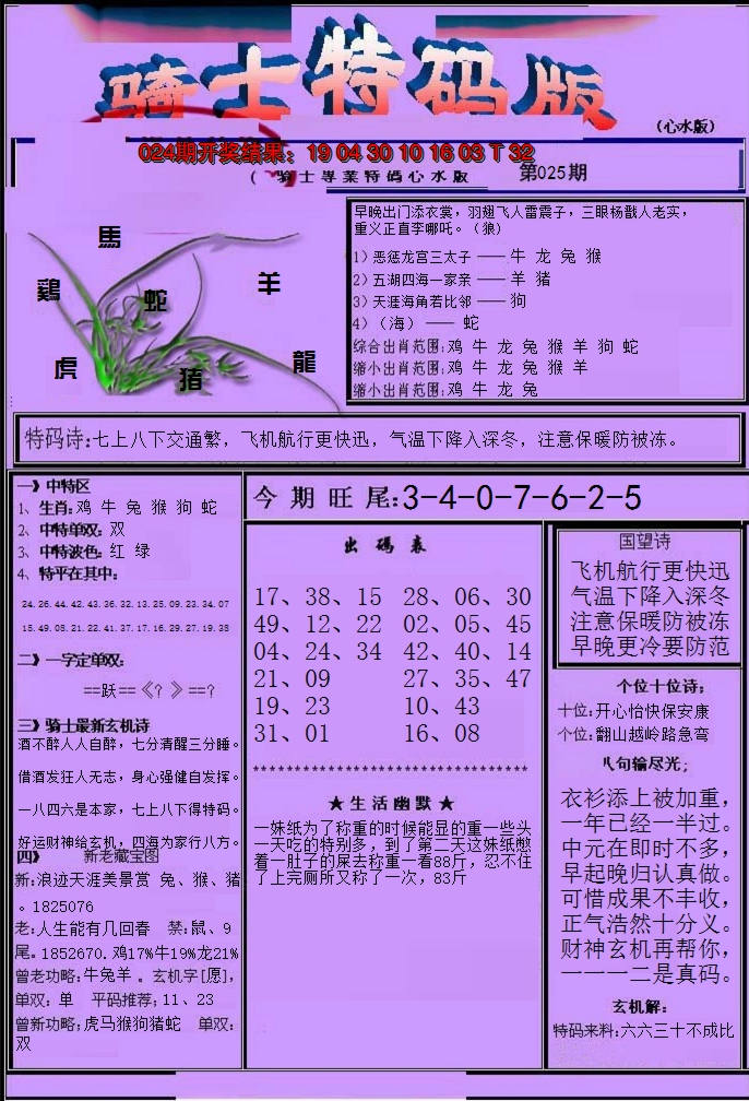 2025025期骑士特码版