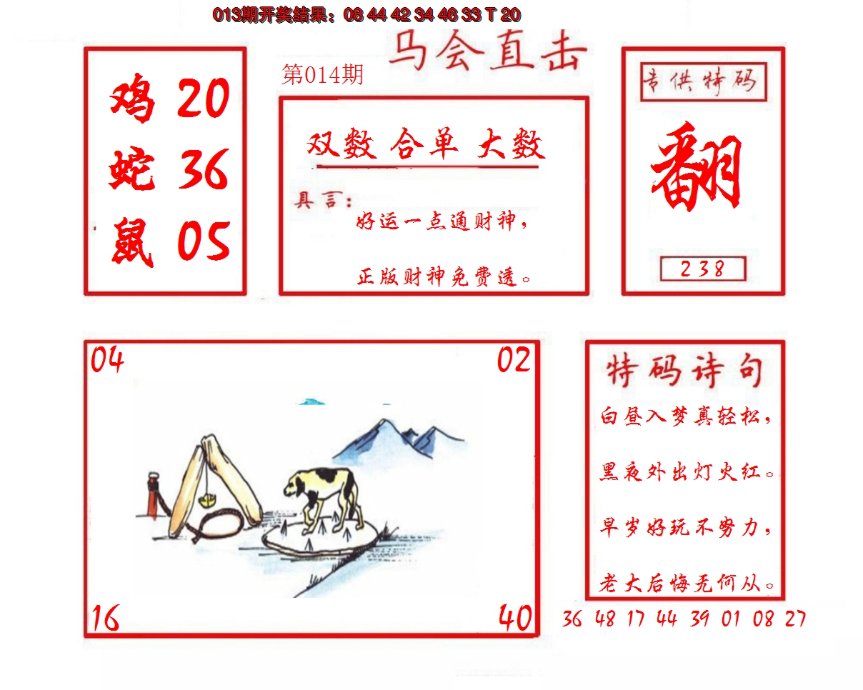 2025014期马会直击