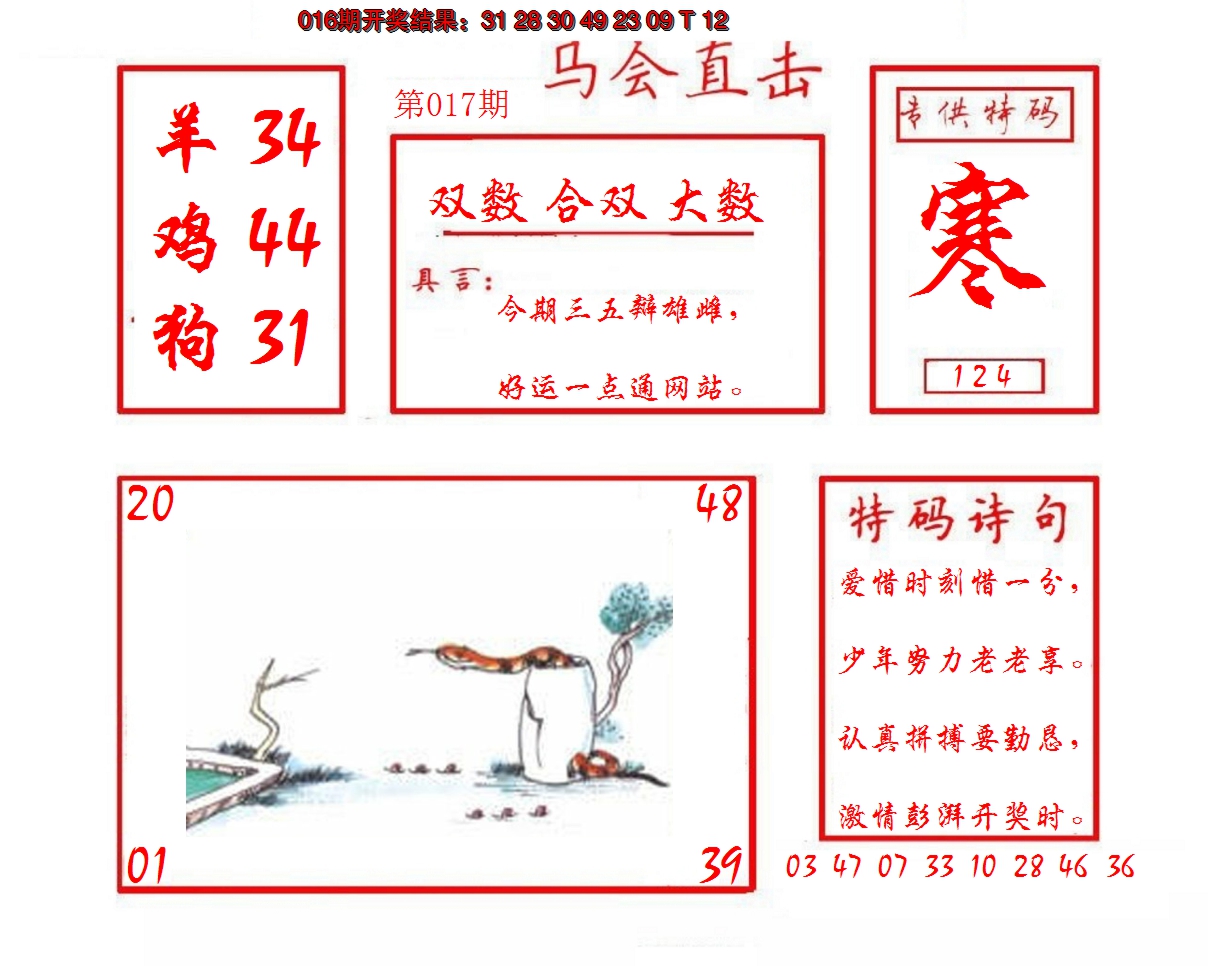 2025017期马会直击