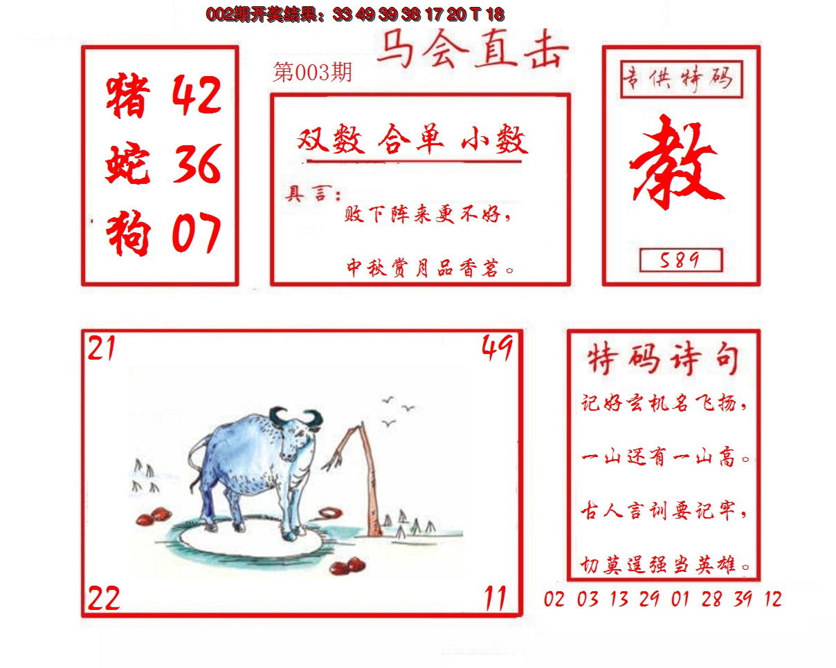2025003期马会直击