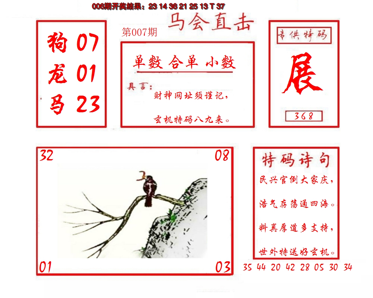 2025007期马会直击