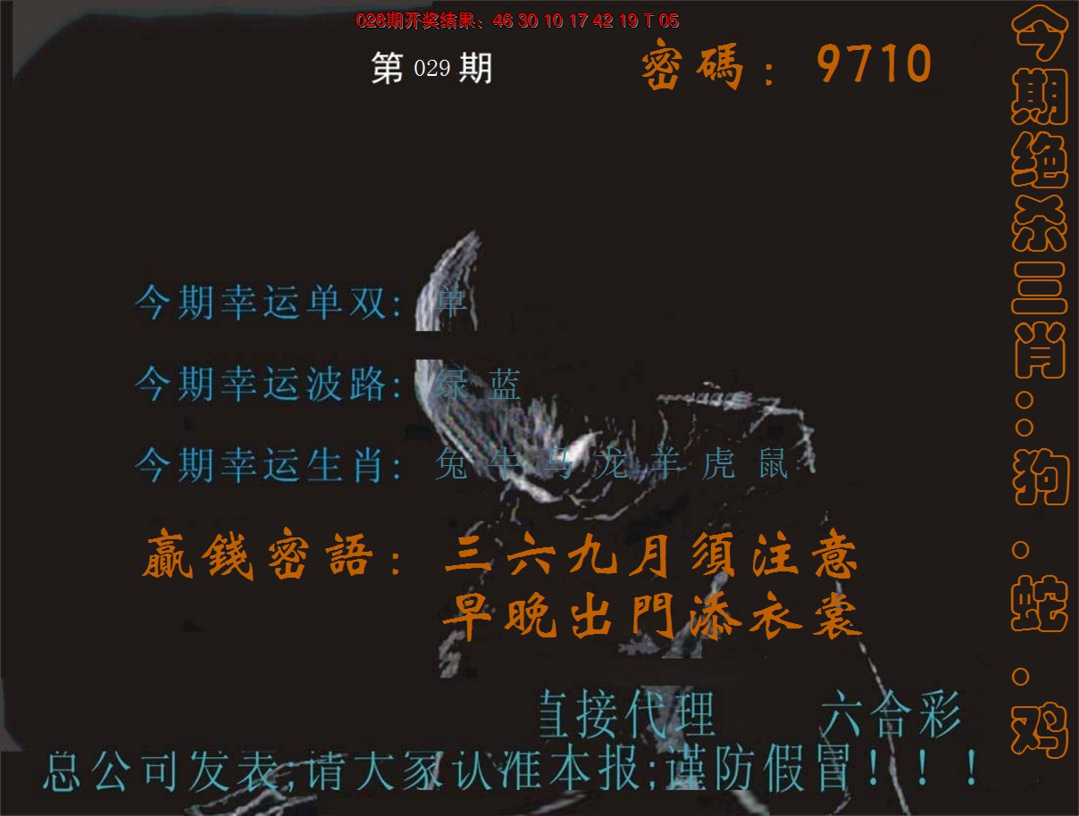 2025029期特码报