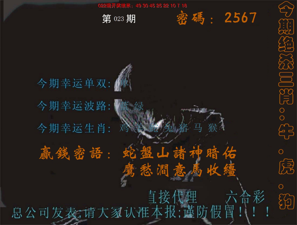 2025023期特码报