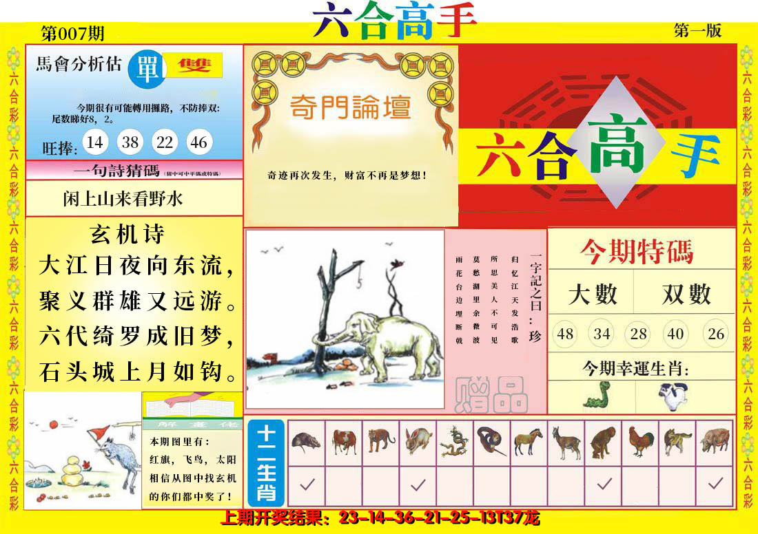 2025007期六合高手A