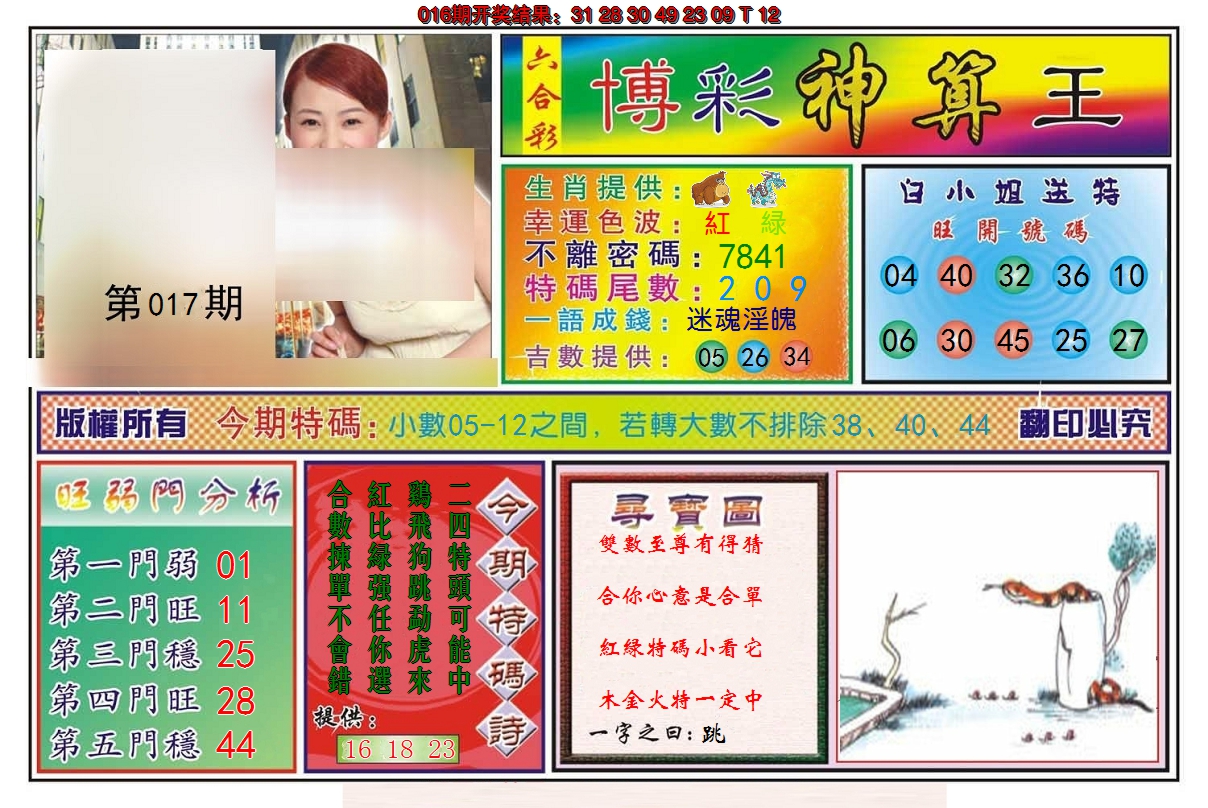 2025017期博彩神算王
