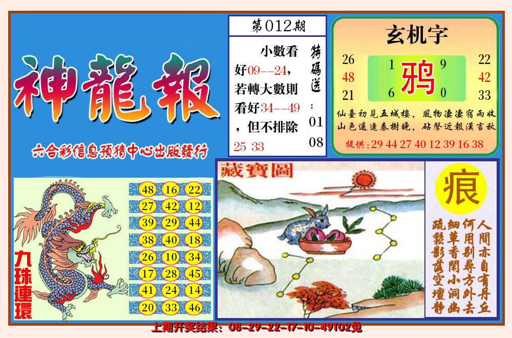 2025012期神龙报