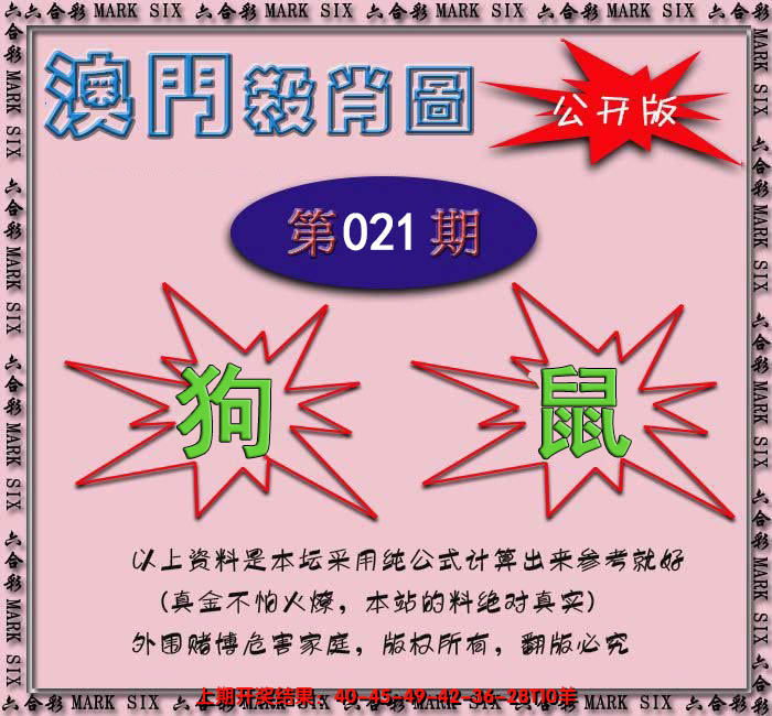 2025021期赛马会杀肖图