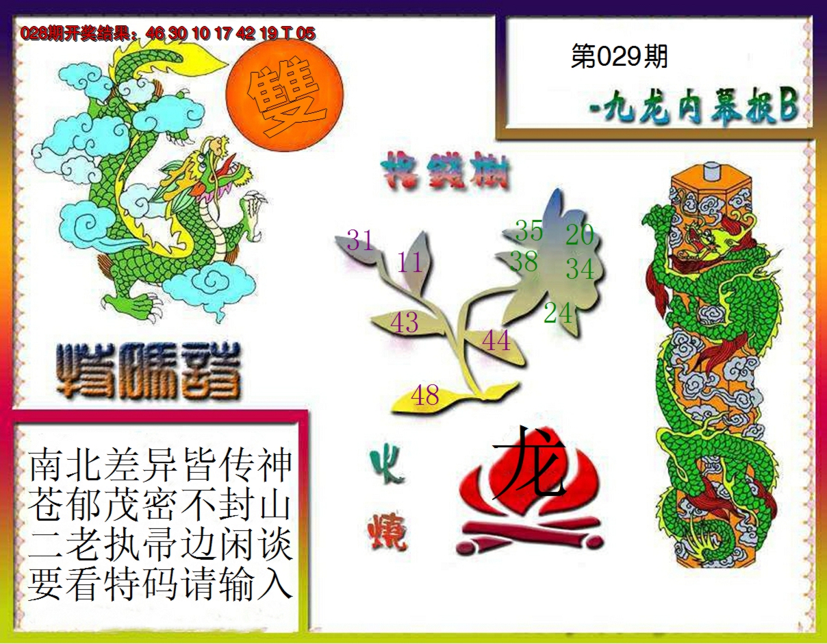2025029期九龙内幕特肖图a