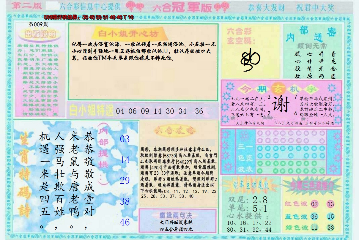 2025009期六合冠军版B
