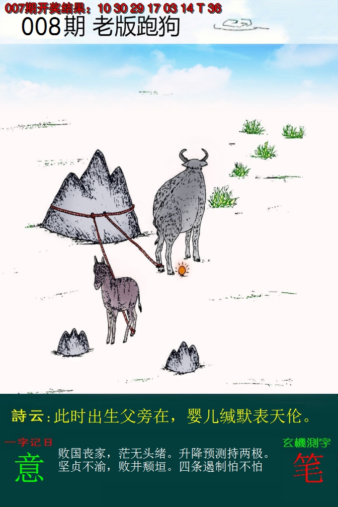 2025008期老版跑狗