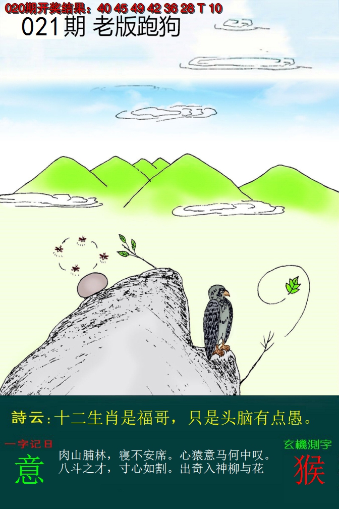 2025021期老版跑狗