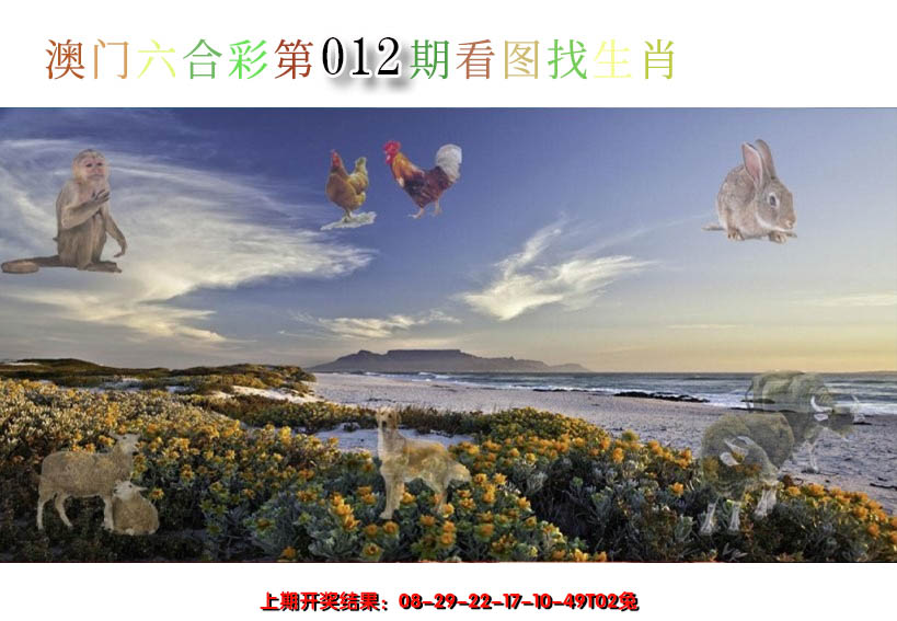 2025012期看图找生肖