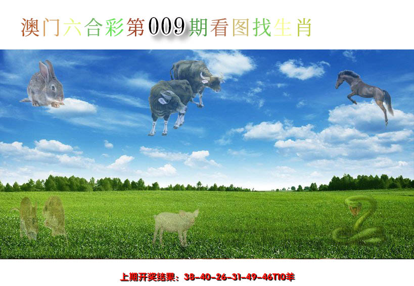 2025009期看图找生肖