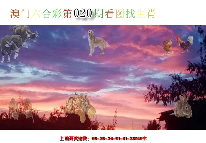 2025020期看图找生肖