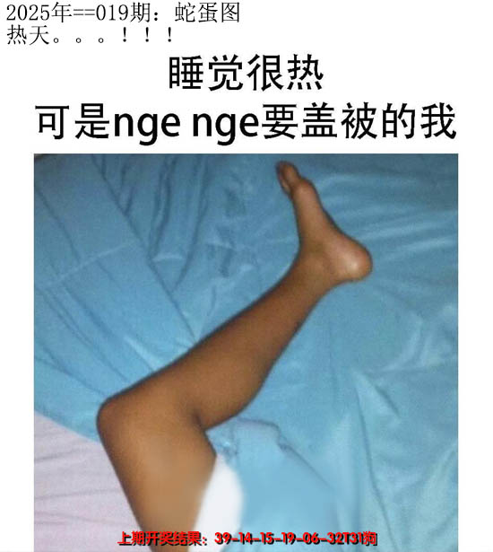 2025019期另版蛇蛋图