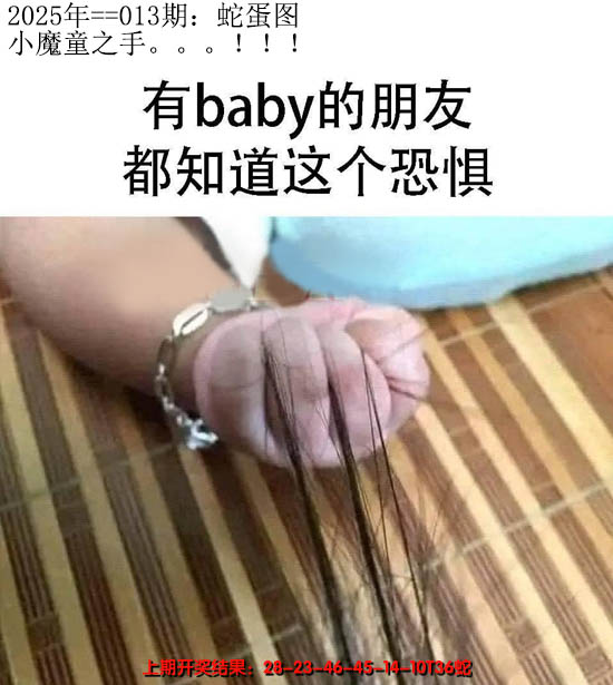 2025013期另版蛇蛋图