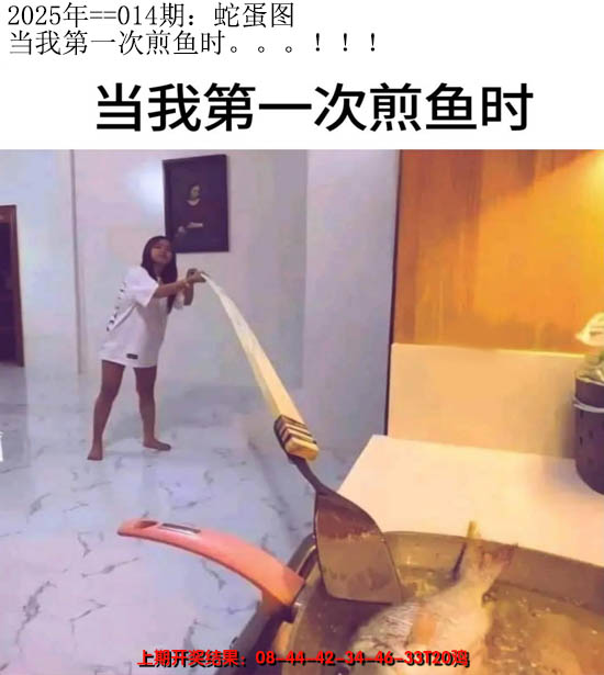 2025014期另版蛇蛋图