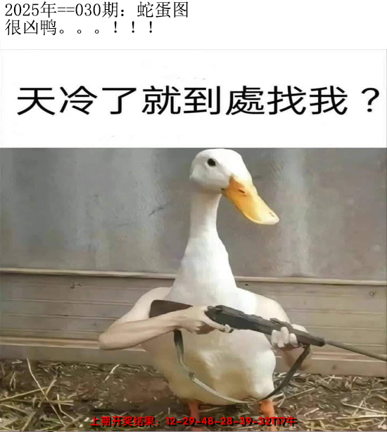 2025030期另版蛇蛋图