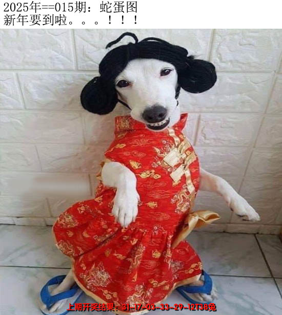 2025015期另版蛇蛋图
